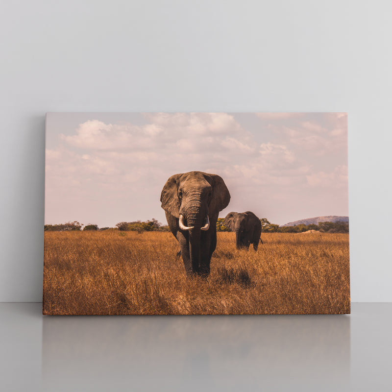 The Magnificent Elephant