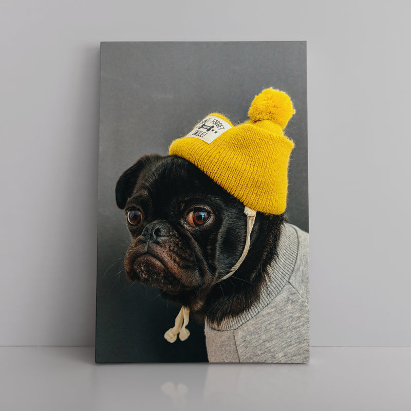 The Swaggy Pug