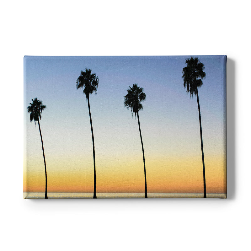 Palm Trees / Sunset